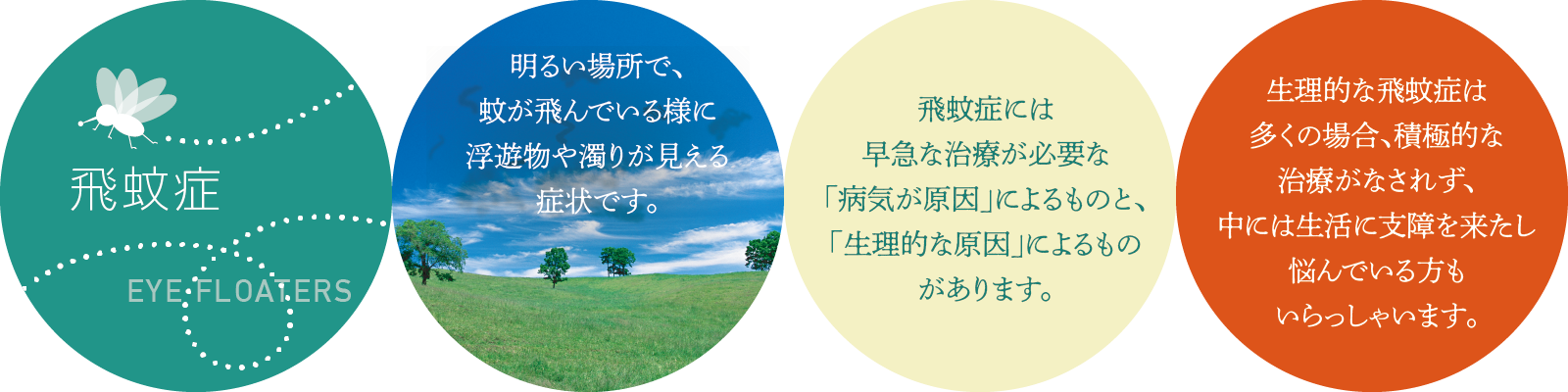 飛蚊症は明るい場所で、蚊が飛んでいる様に浮遊物つが見える症状です。早急な治療が必要な「病気が原因」によるものと、「生理的な原因」によるものがあります。生理的な飛蚊症は多くの場合、積極的な治療がなされず、中には生活に支障を来たし悩んでいる方もいらっしゃいます。